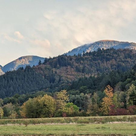 Ferienwohnung Belchenblick Staufen im Breisgau Exteriér fotografie