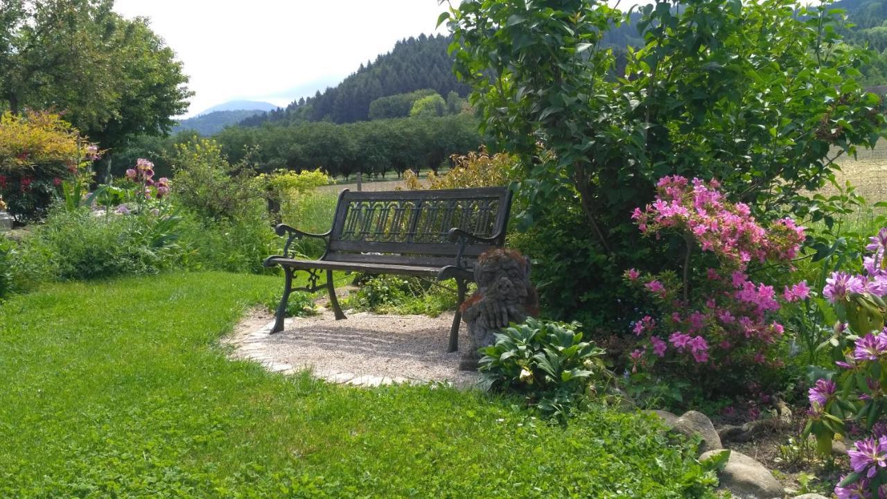 Ferienwohnung Belchenblick Staufen im Breisgau Exteriér fotografie