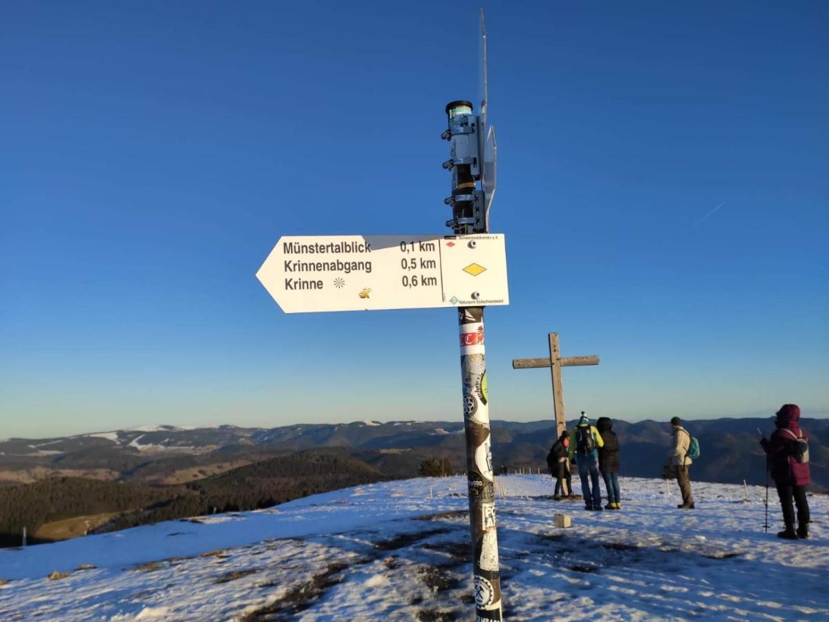 Ferienwohnung Belchenblick Staufen im Breisgau Exteriér fotografie