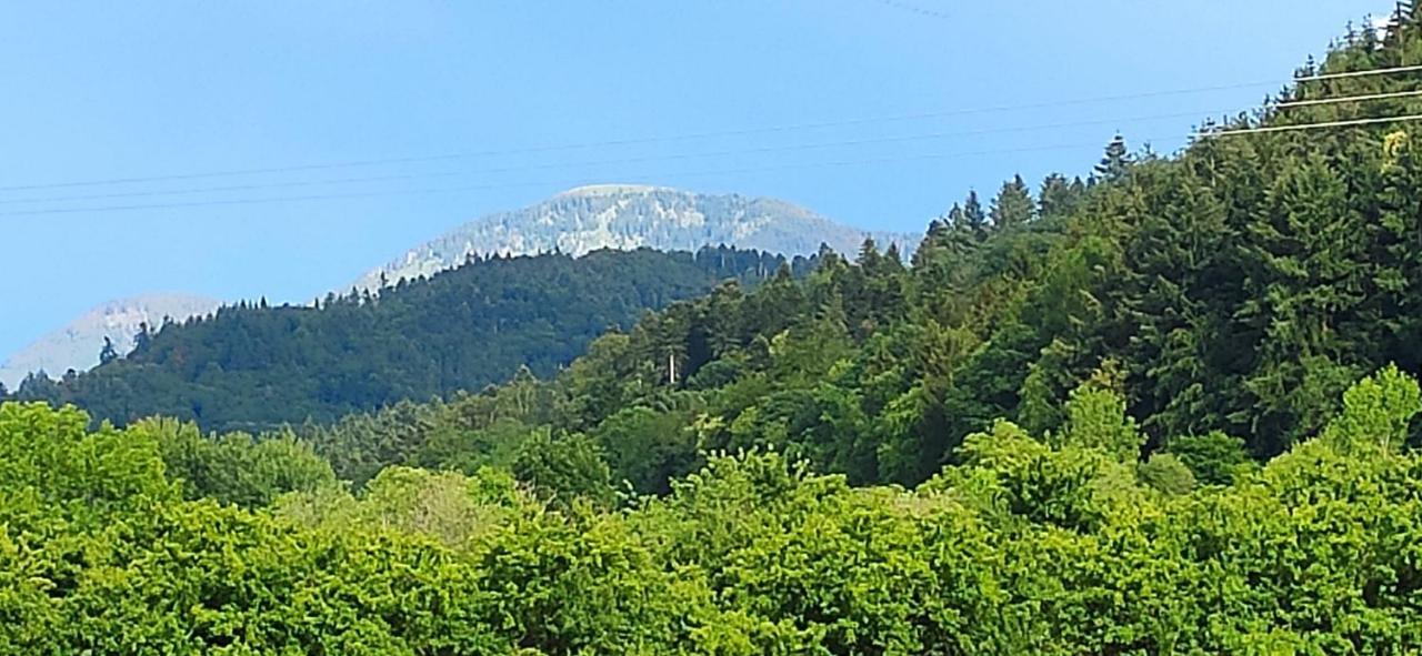 Ferienwohnung Belchenblick Staufen im Breisgau Exteriér fotografie