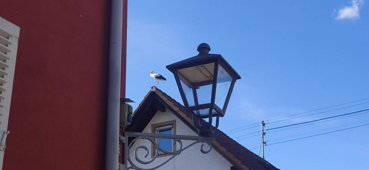 Ferienwohnung Belchenblick Staufen im Breisgau Exteriér fotografie