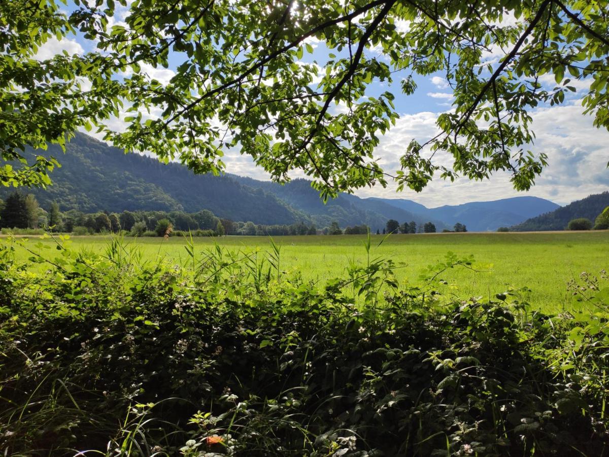 Ferienwohnung Belchenblick Staufen im Breisgau Exteriér fotografie