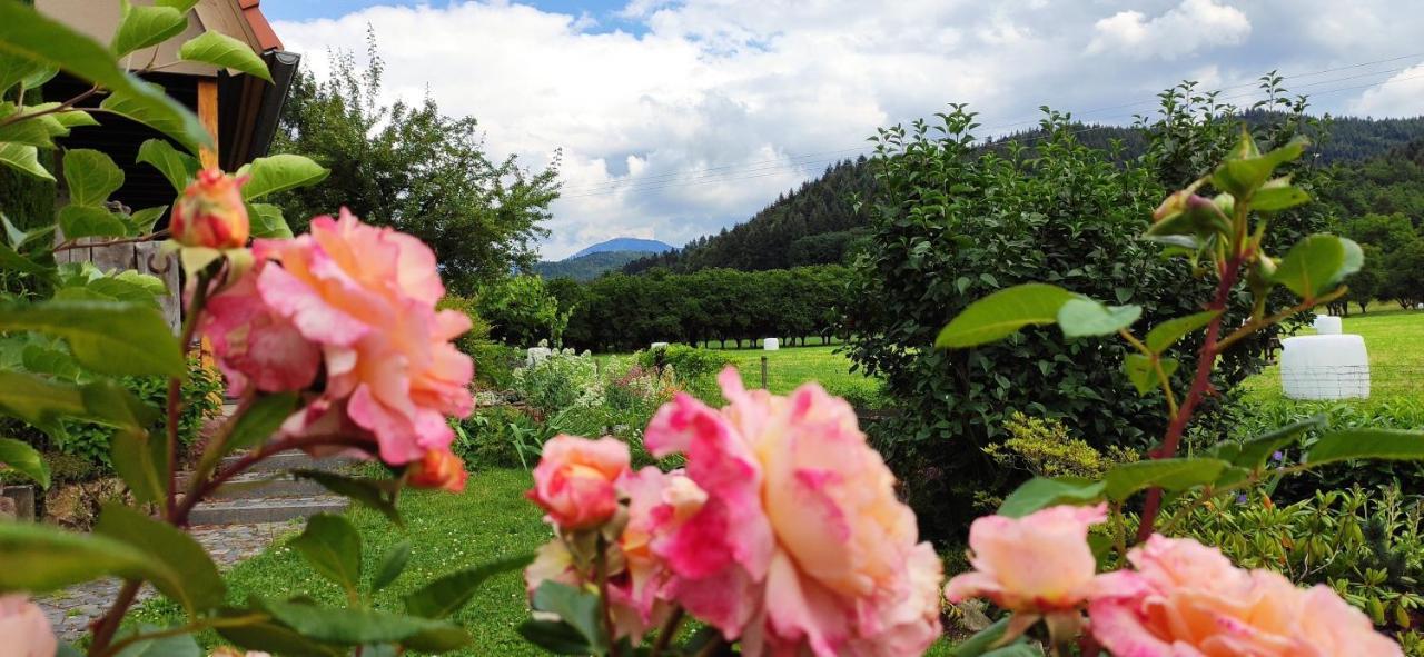 Ferienwohnung Belchenblick Staufen im Breisgau Exteriér fotografie