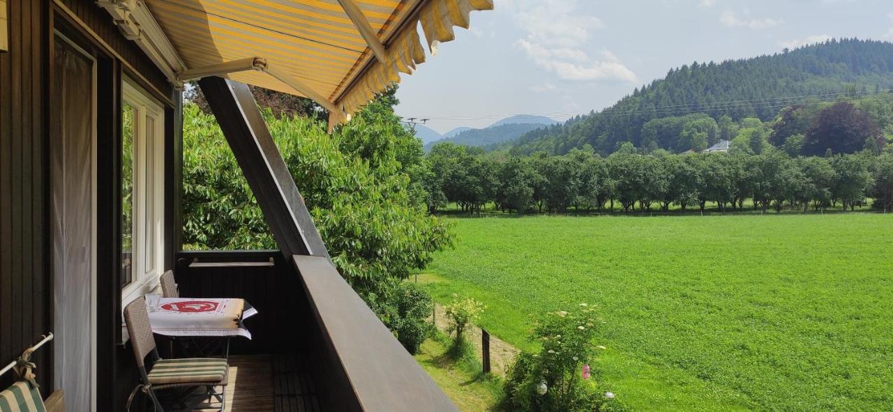 Ferienwohnung Belchenblick Staufen im Breisgau Exteriér fotografie