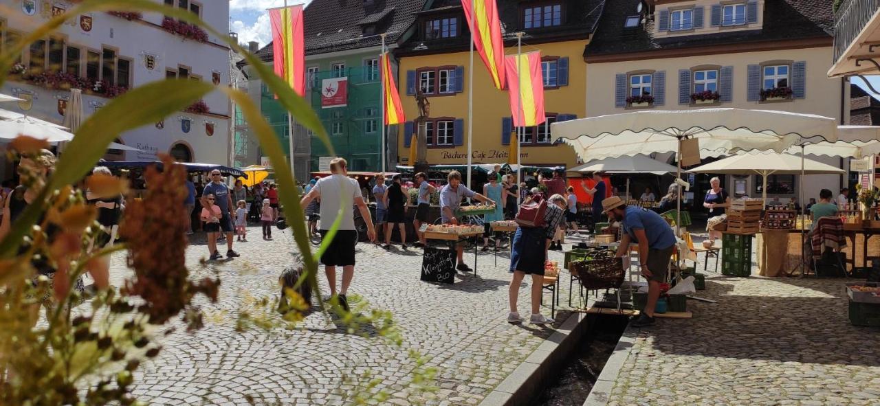 Ferienwohnung Belchenblick Staufen im Breisgau Exteriér fotografie