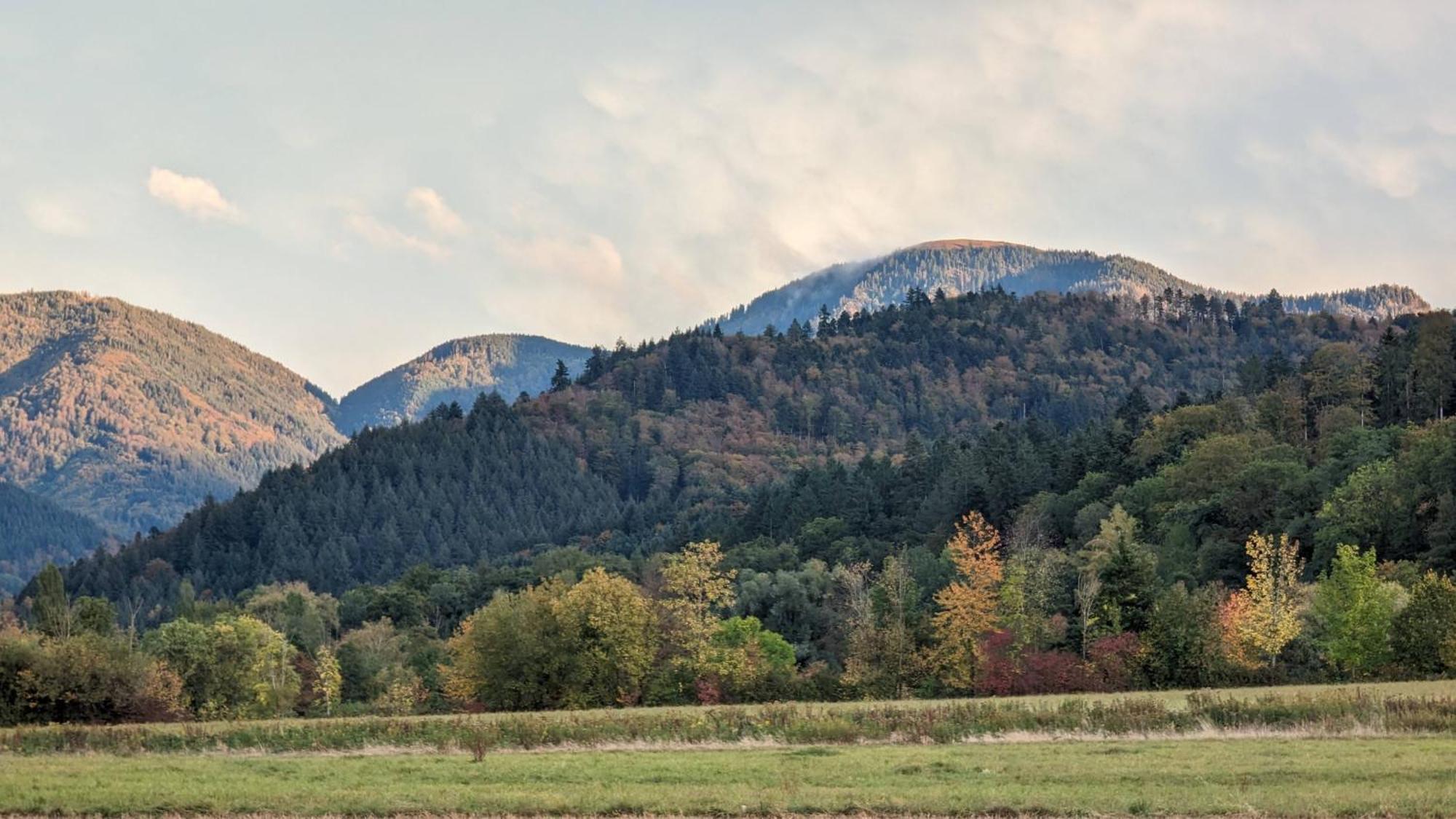 Ferienwohnung Belchenblick Staufen im Breisgau Exteriér fotografie